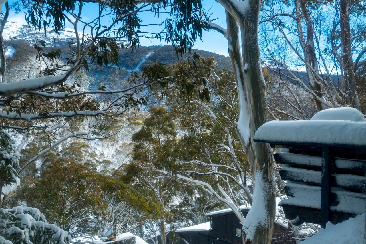 Pure Chalet Thredbo Hotel Luaran gambar