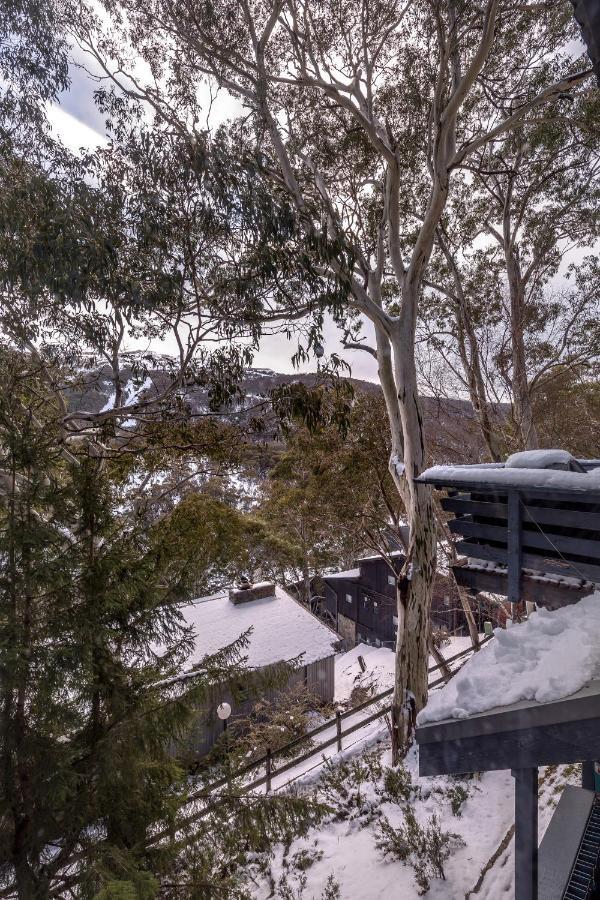 Pure Chalet Thredbo Hotel Luaran gambar